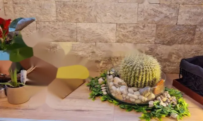 Недвижимость Двухкомнатная квартира в центре: 13