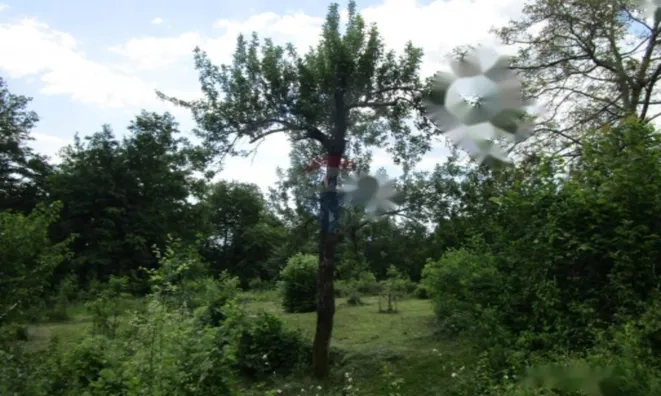 Недвижимость Семейный дом Вепринац: 19