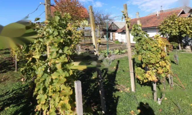 Недвижимость Дом, Бенедикт: 27