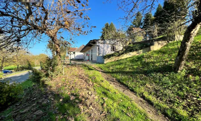 Недвижимость Дом у реки Крка в Велике Малинце: 20