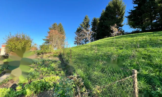 Недвижимость Дом у реки Крка в Велике Малинце: 22