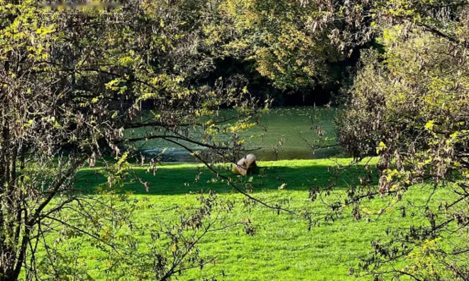 Недвижимость Дом у реки Крка в Велике Малинце: 29