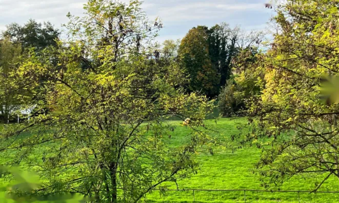 Недвижимость Дом у реки Крка в Велике Малинце: 30
