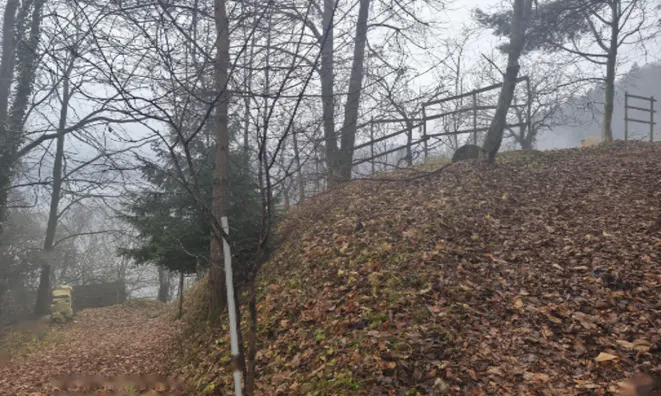 Недвижимость Дом, Чемшеник, Ржишче: 13