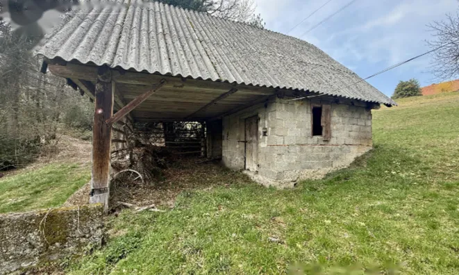 Недвижимость Дом, Яворник: 8