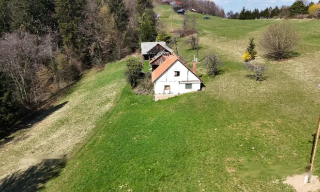 Недвижимость Дом, Яворник: 10