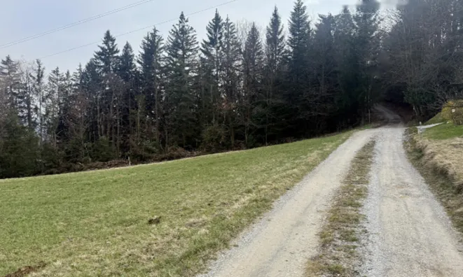 Недвижимость Дом, Яворник: 12