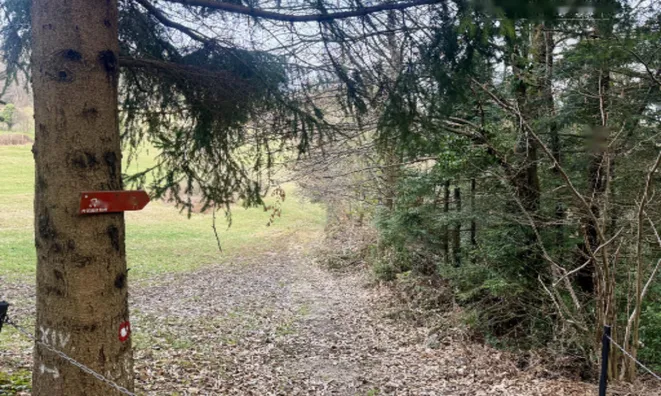 Недвижимость Дом, Яворник: 13