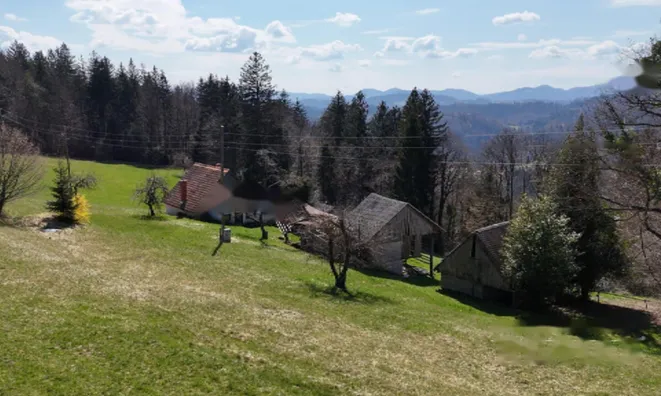 Недвижимость Дом, Яворник: 15