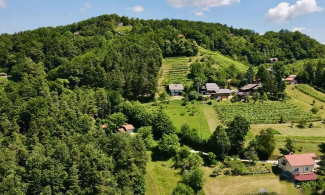 Недвижимость Дом, Мали Чирник при Шентьянже: 4