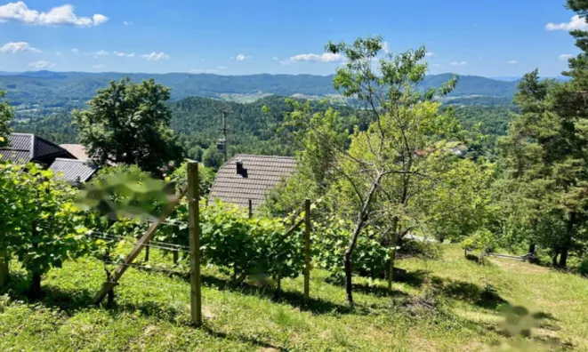 Недвижимость Дом, Мали Чирник при Шентьянже: 7