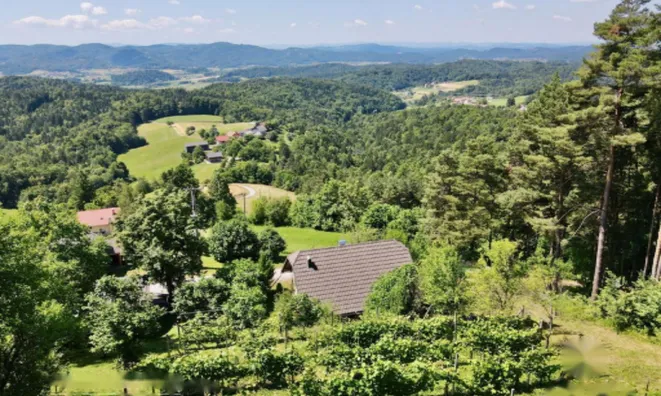 Недвижимость Дом, Мали Чирник при Шентьянже: 9