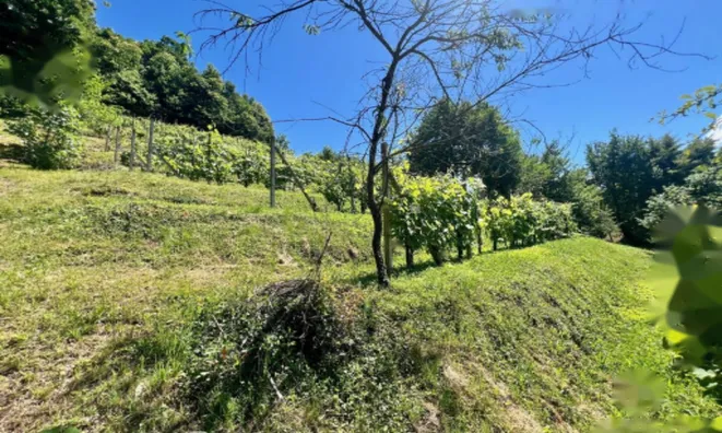 Недвижимость Дом, Мали Чирник при Шентьянже: 11