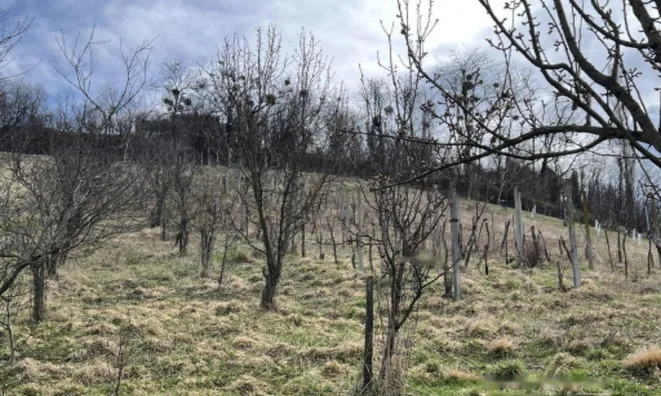 Недвижимость Дом, Долина при Лендаве: 23