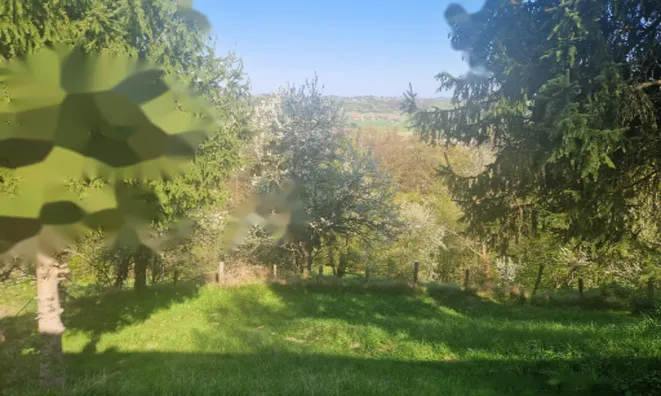 Недвижимость Дом, Козяк над Песницей: 4