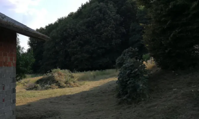 Недвижимость Дом в Кошаровцах, Горичко: 6