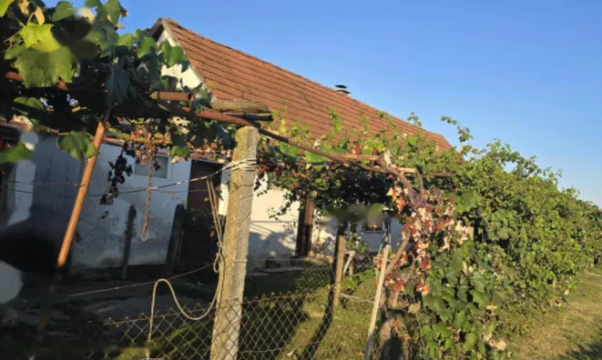 Недвижимость Дом с террасой Миховци: 2