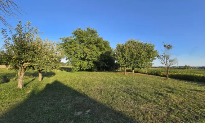 Недвижимость Дом с террасой Миховци: 8