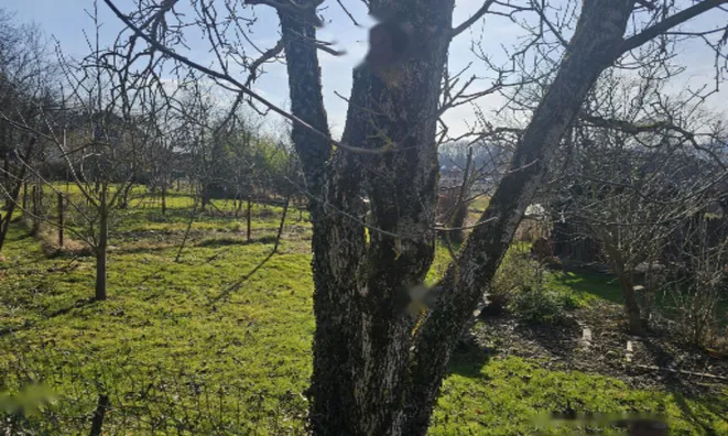 Недвижимость Дом в Селах при Добови: 6