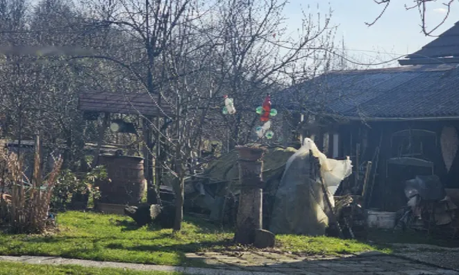 Недвижимость Дом в Селах при Добови: 8