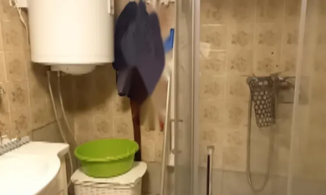 Недвижимость Дом, Нижняя Орлица: 8