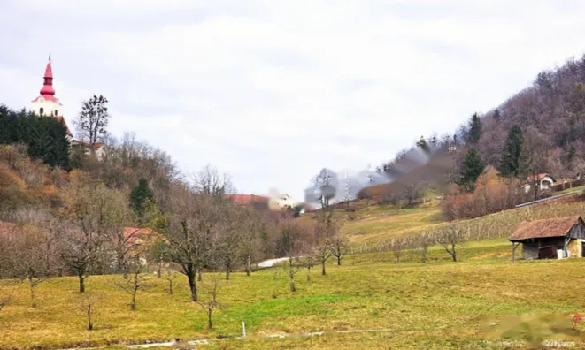 Недвижимость Дом, Пильштань, Козие: 13