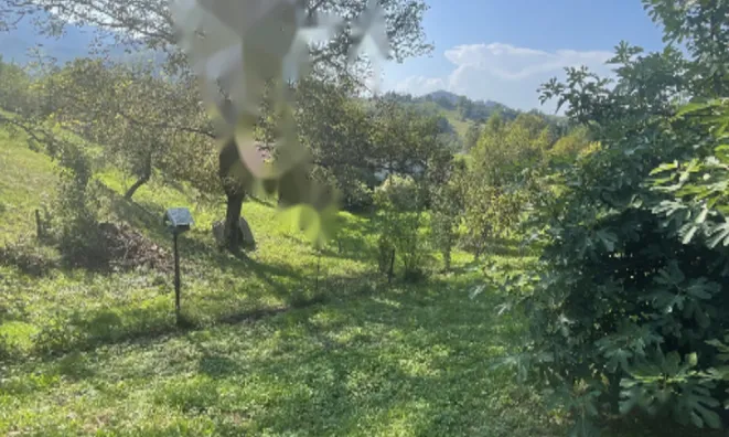 Недвижимость Дом в Забуковице: 7