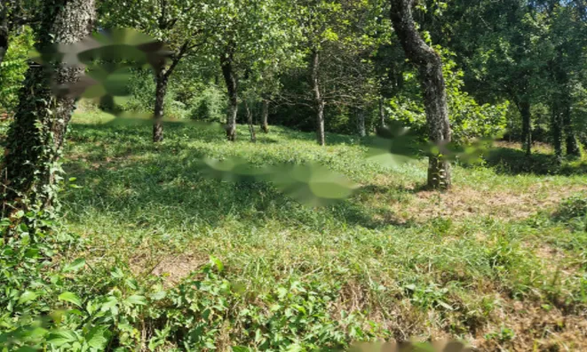 Недвижимость Дом, Содражица, Завода: 17