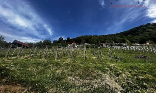 Недвижимость Дом в Ущелье: 5