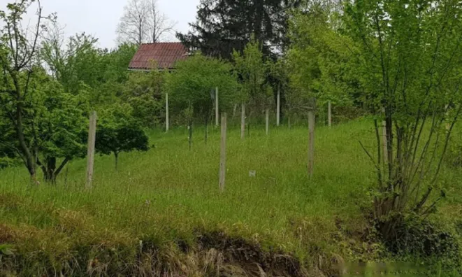 Недвижимость Дом, Нижний Слемен: 4