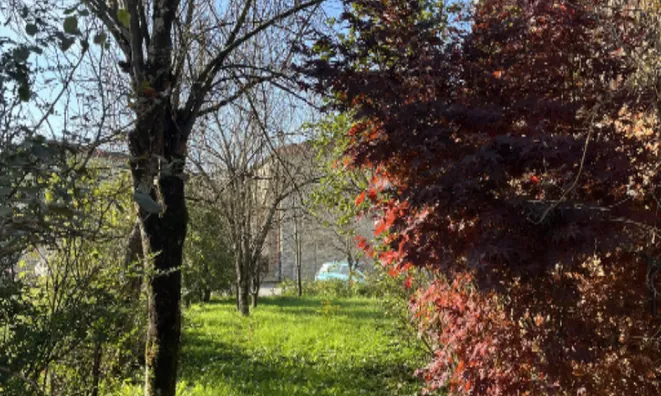 Недвижимость Дом, Виница: 12