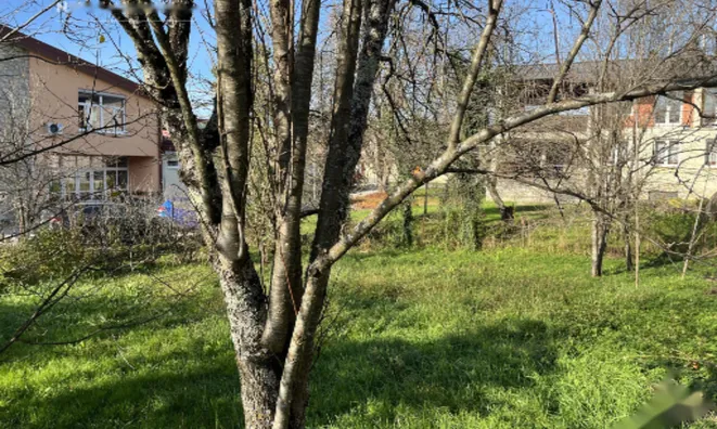 Недвижимость Дом, Виница: 14