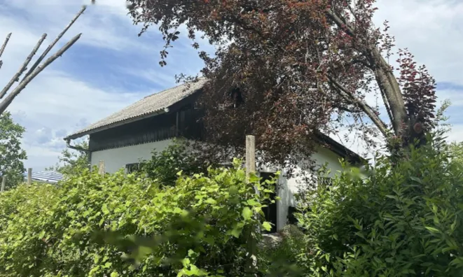 Недвижимость Дом Родни Верх: 15