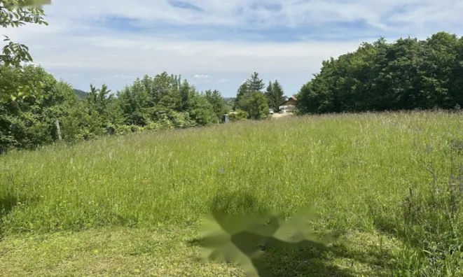 Недвижимость Дом Родни Верх: 16