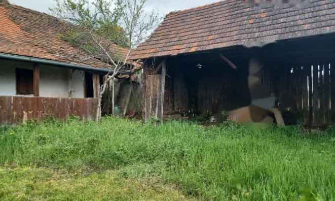 Недвижимость Дом, Крижевац: 9