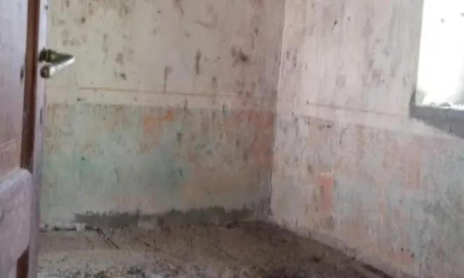 Недвижимость Дом, Лиг, Файлы: 13