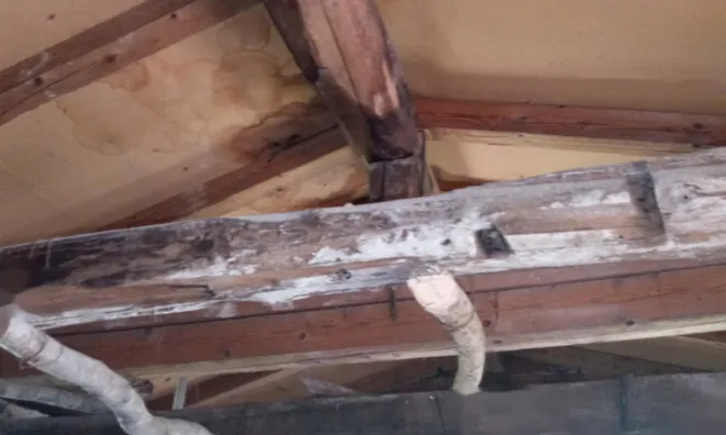 Недвижимость Дом, Лиг, Файлы: 14