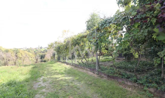 Недвижимость Дом, Грабшинцы: 25