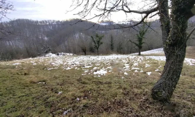 Недвижимость Дом, Криж: 6