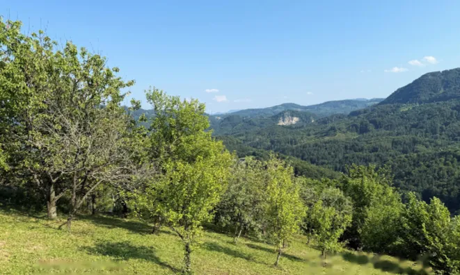 Недвижимость Дом, Бабна Гора: 18