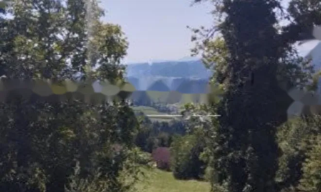 Недвижимость Дом в Топольшице: 2