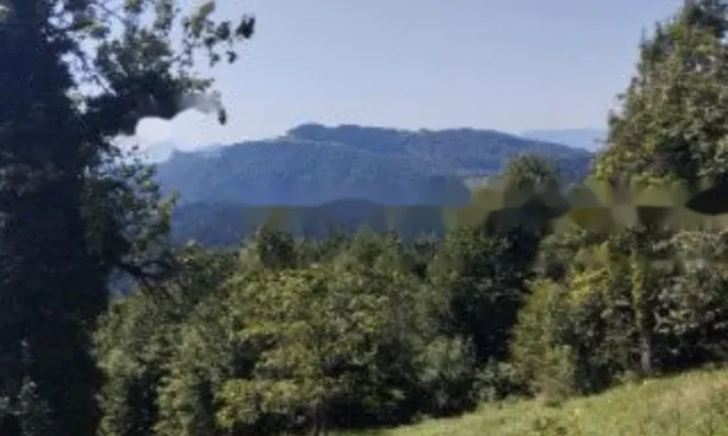 Недвижимость Дом в Топольшице: 4