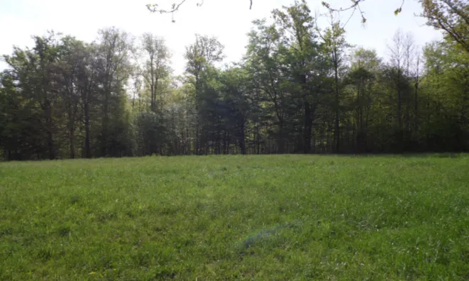 Недвижимость Дом, Церов Лог: 7