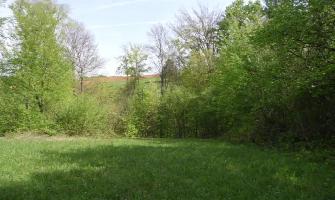 Недвижимость Дом, Церов Лог: 8