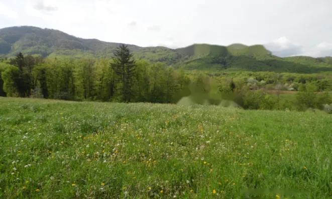 Недвижимость Дом, Церов Лог: 9