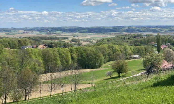 Недвижимость Дом, Дестрник, Птуйский р-н: 2