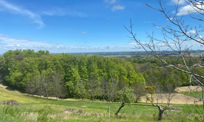 Недвижимость Дом, Дестрник, Птуйский р-н: 3