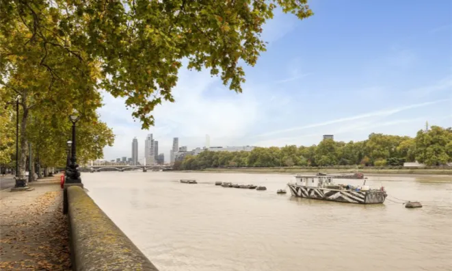 Недвижимость Chelsea Embankment, Chelsea: 10