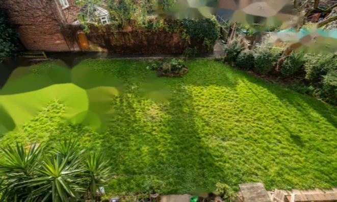 Недвижимость Ellen Street: 3