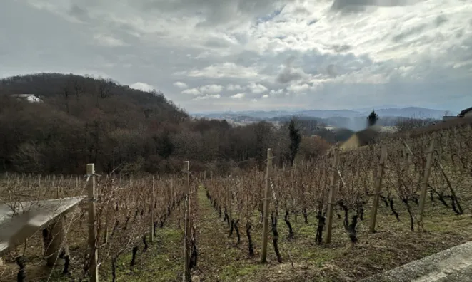 Недвижимость Дом, Дрёвник: 4